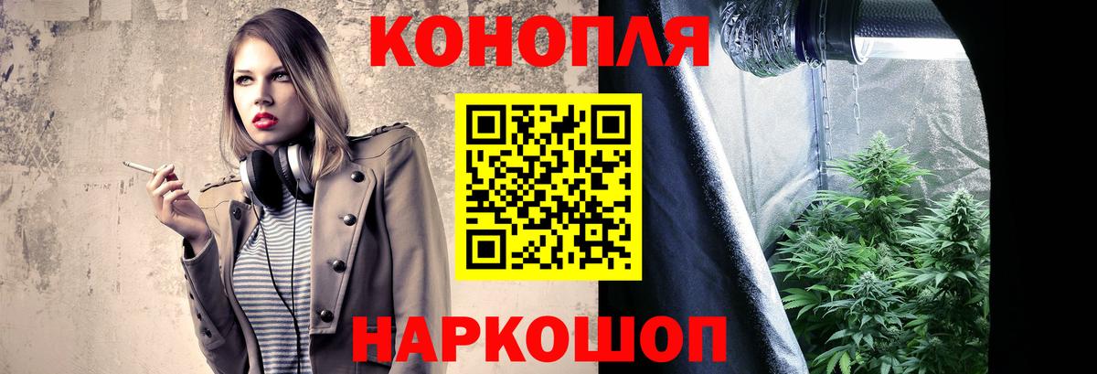 Бошки Шишки план Новоалтайск